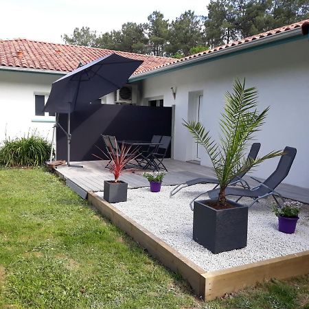 Chambre D'Hotes Du Pin Pey Екстериор снимка