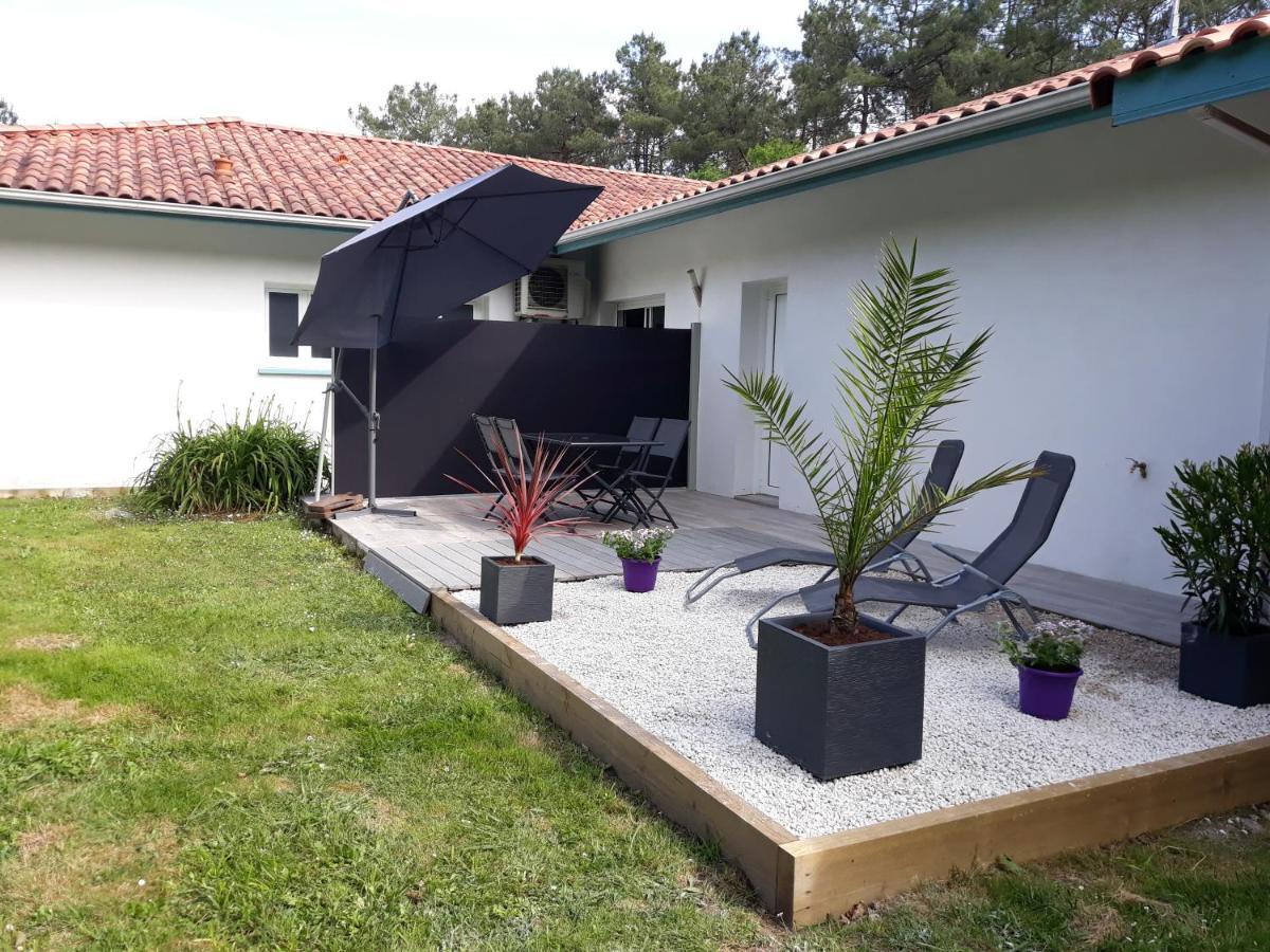 Chambre D'Hotes Du Pin Pey Екстериор снимка